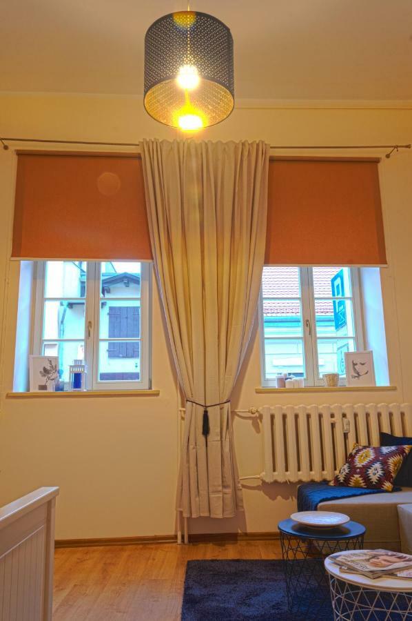 Apartament Ducha No'7 Stary Toruń 外观 照片